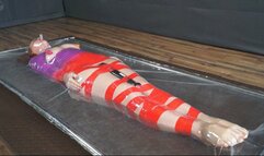 Mummification with colored ribbons in a transparent vacuum bed with vibration and flips