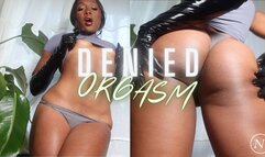 Denied Orgasm