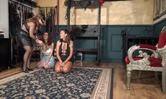 MISTRESS LILY DUPONT : PUPPY TRAINING