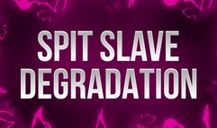 Spit Slave Degradation