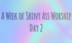 A Week of Shiny Ass Worship: Day Two