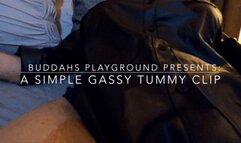 A Simple Gassy Tummy Clip with Buddahs Playground- belly noises- gurgles- tummy sounds