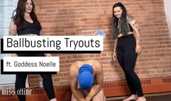 Ballbusting Tryouts | First Timer Gets Put To The Test