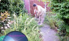 SSBBW naked gardening