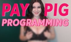 Paypig Programming