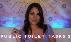 Public Toilet Tasks - 2