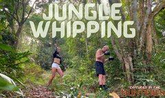 Jungle Whipping mp4