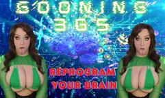 Gooning 365: Day 3 Reprogram Your Brain (1080MP4)