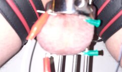 Balls Stretched & Electro Tormented