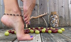 Grape Stomp Fest: Crushing Grapes the Old-Fashioned Way!