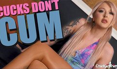 Cucks Don't Cum (SD MP4)