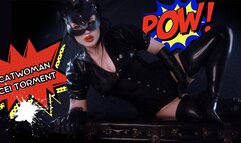 Catwoman CEI Torment