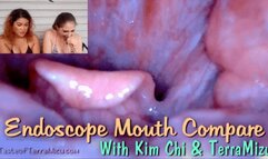 Endoscope Mouth Compare - Kim Chi & TerraMizu - HD 720 MP4