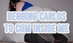 Begging Carlos to Cum for Me