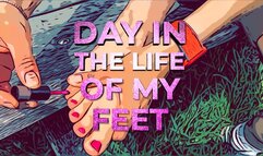 A day in the life of my Feet (MOV HD)