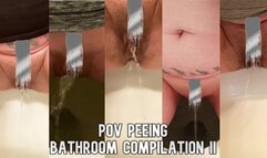 POV Peeing Bathroom Compilation II [SD]