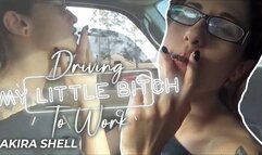 Driving My Little Bitch To Work (Re-Mastered) (HD WMV)