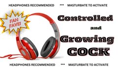 Controlled and Growing Cock (audio mp4)