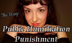 Public Humiliation Punishment