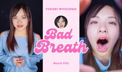 Bad Breath Affection; Big Brother and Yukari MIYAZAWA