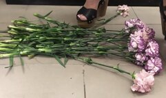 Flowers smash in platform clogs crush fetish cam 2