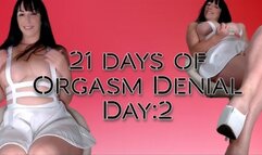 21 Days of Orgasm Denial Day 2