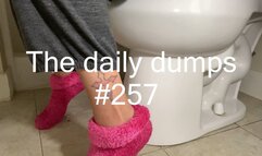 The daily dumps #257