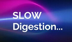 Slow Digestion *wmv*