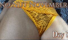 No Nut November | Week 1 Complete (HD) WMV