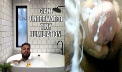 Tiny underwater humiliation - Lalo Cortez