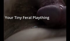 Giantess Cassie - Your Tiny Feral Plaything (Augmented Reality Audio)