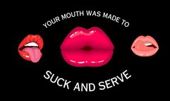 Your Mouth was Made to Suck and Serve (audio only mp4)