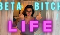 Beta Bitch Life 1080p mp4