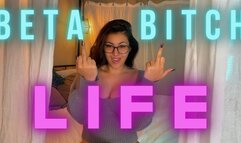 Beta Bitch Life 480p mov