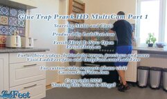 Glue Trap Prank HD MultiCam Part 1