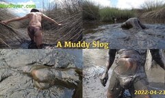 A Muddy Slog, 2022-04-23