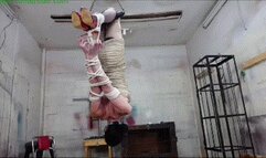 TS slut hangs in an inverted hogtie strap-on face fucked and made to cum (MP4 HD 6000kbps)