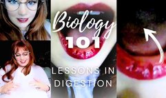 Biology 101: Lessons in Vore Digestion (ASMR)