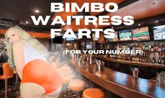 Bimbo Waitress Farts (480MP4)