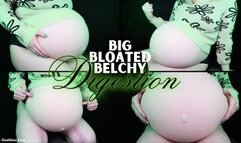 Big Bloated Belchy Digestion - HD