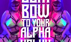 Bow To Your Alpha