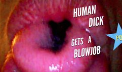 Giantess Vore Human Dick Gets A Blowjob