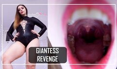 GIANTESS REVENGE