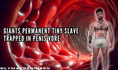 Giants permanent tiny slave trapped in penis vore