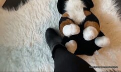 a soft toy has to suffer from cute boots and nylon