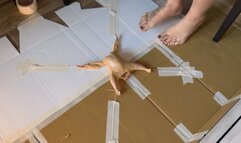 Italian girlfriend - Tiny chicken giantess crush fetish walkover barefoot CAM 2