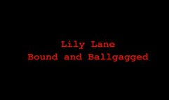 Lily Lane Bound and Ballgagged