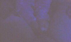 Hot Milf Goddess in blacklight gives rough femdom footjob and toejob to hard tattooed cock with extreme cumshot on her beautiful toes