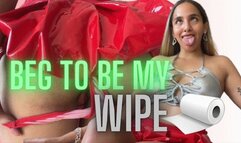 BEG TO BE MY WIPE - Toilet Fetish