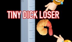 TINY DICK LOSER !!!